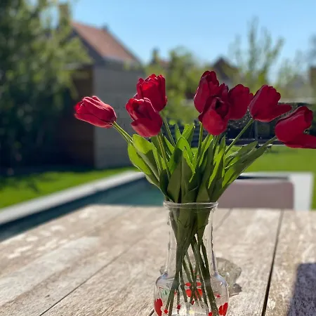 De Lanterfanters Jef Ferienhaus *